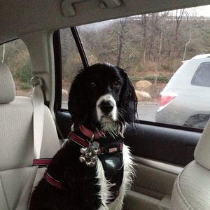 Meet your Posher, Marcia